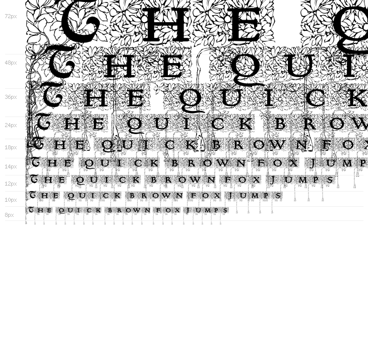 Arborial_Initials Waterfall