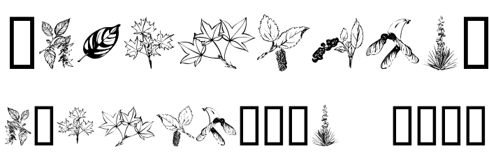 ArborisFolium Font OTHER CHARS