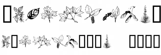 ArborisFolium Font OTHER CHARS