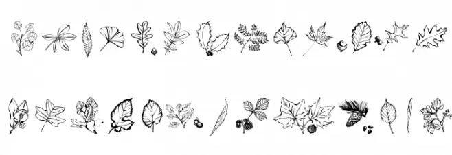 ArborisFolium Polices MAJUSCULES