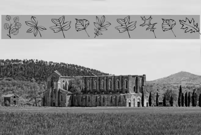 ArborisFolium Font examples