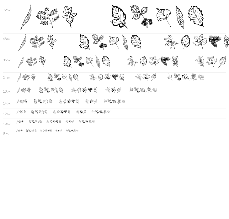 ArborisFolium Waterfall