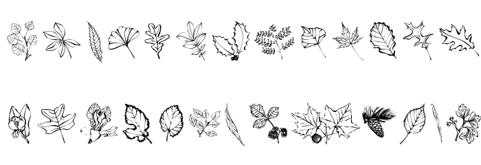 ArborisFolium Font LOWERCASE