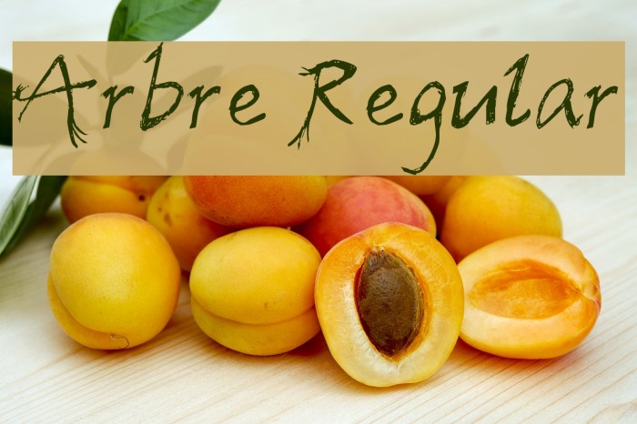 Arbre Regular Example 1