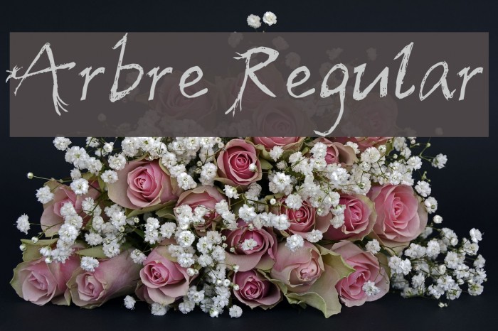 Arbre Regular Example 3