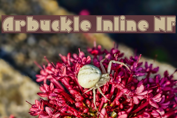 Arbuckle Inline NF Font examples