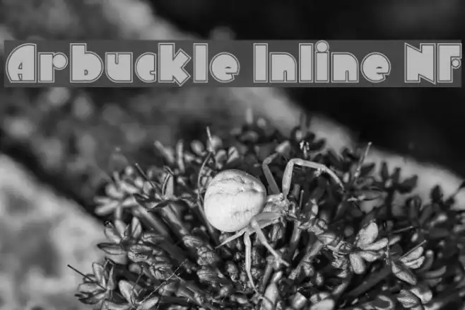 Arbuckle Inline NF Example 3
