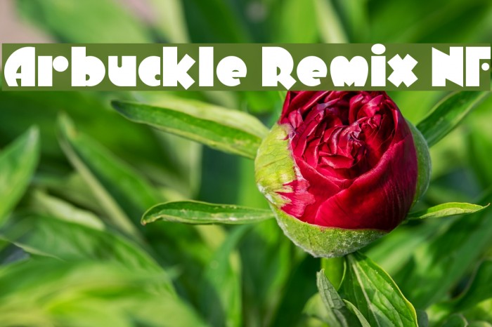 Arbuckle Remix NF Font examples
