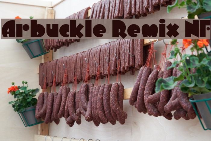 Arbuckle Remix NF Font examples