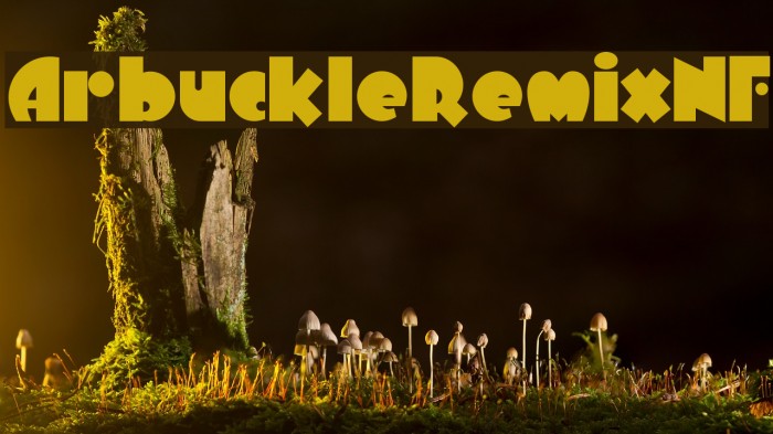 ArbuckleRemixNF Font examples