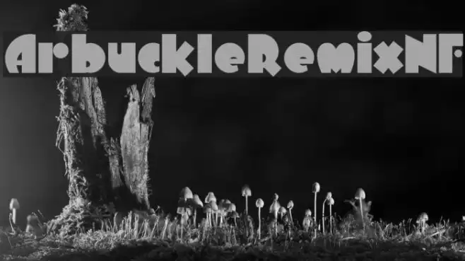 ArbuckleRemixNF Example 1