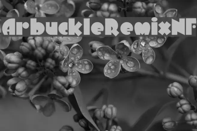 ArbuckleRemixNF Example 2