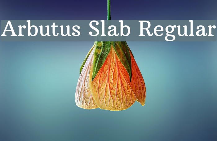 Arbutus Slab Regular Font examples