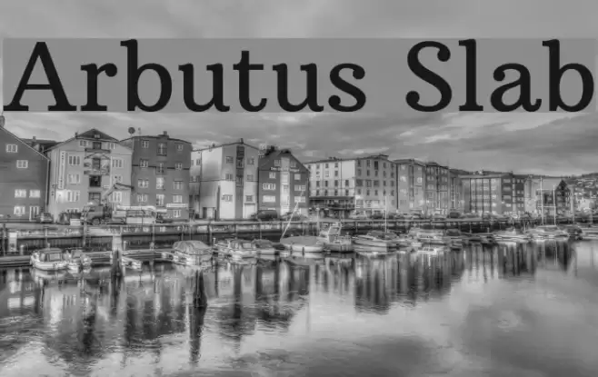 Arbutus Slab Font examples