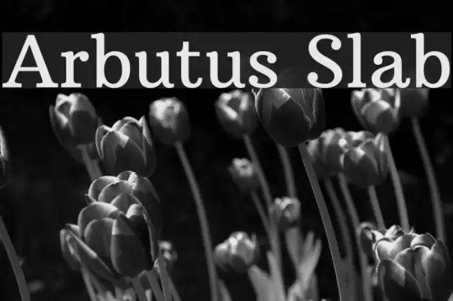 Arbutus Slab Font examples
