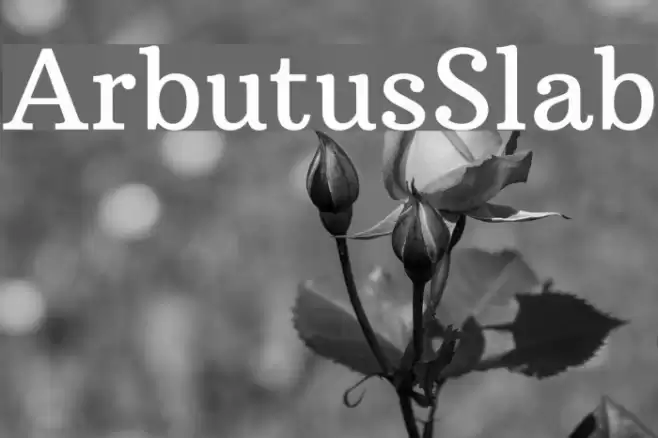 ArbutusSlab Font examples
