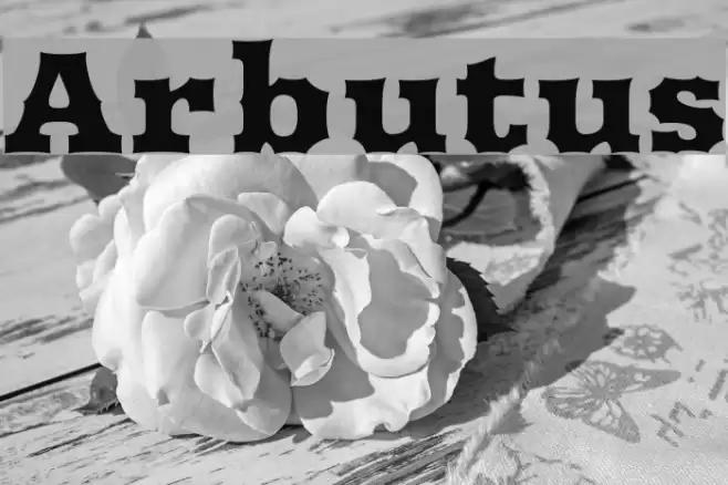 Arbutus Font examples