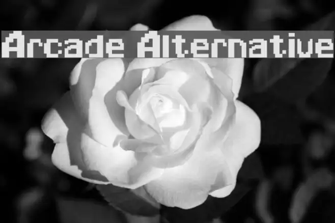Arcade Alternative Example 2