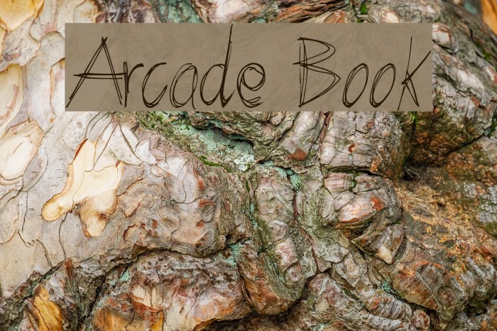 Arcade Book Fuentes examples