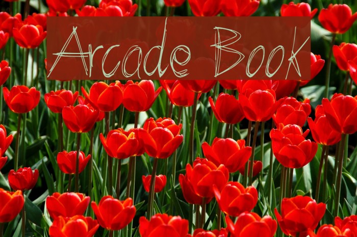 Arcade Book Fuentes examples