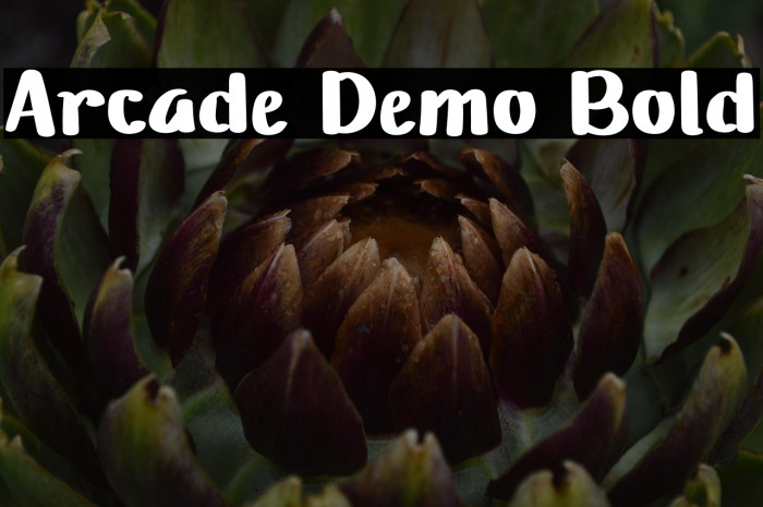 Arcade Demo Bold Example 1