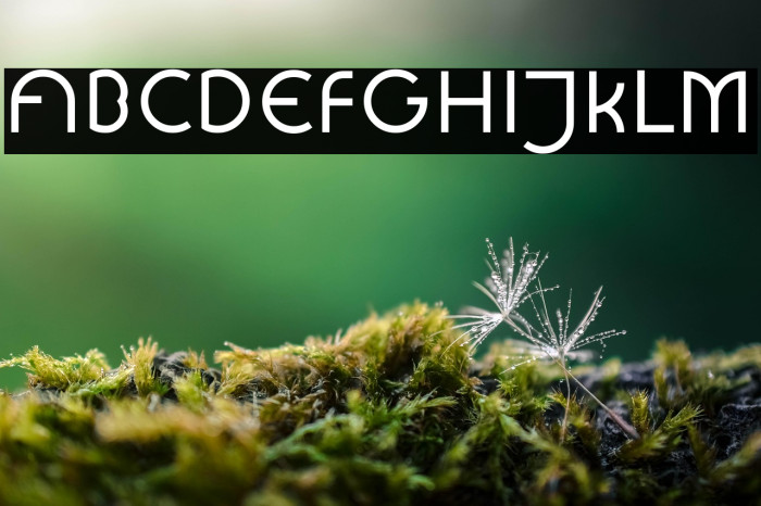 Arcade Future DEMO Example 2