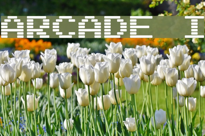 Arcade I Font examples
