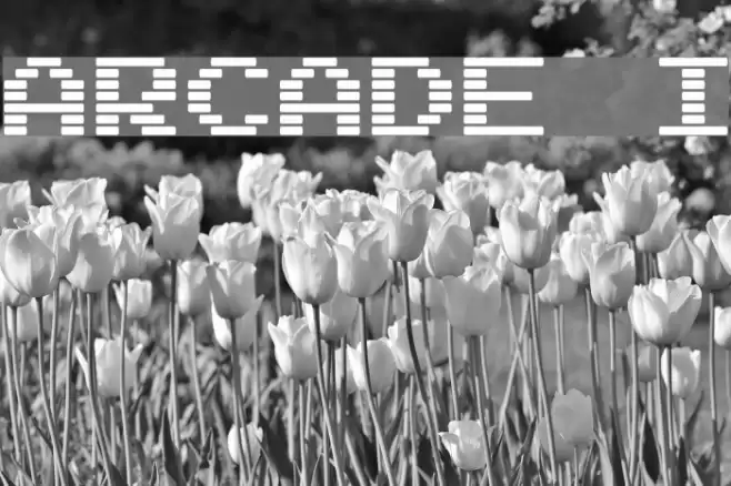 Arcade I Fonte examples