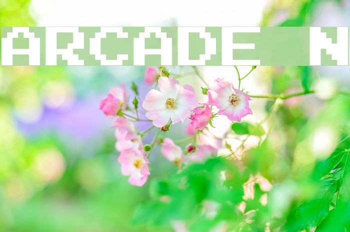Arcade N Font examples