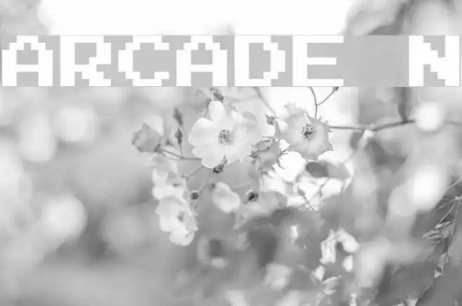 Arcade N Шрифта examples