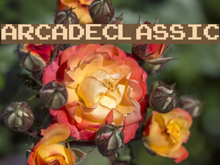 ArcadeClassic Font examples