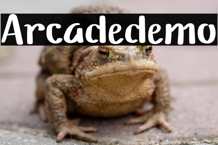 Arcadedemo Example 3