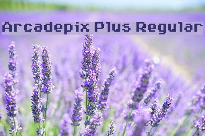 Arcadepix Plus Regular Example 3