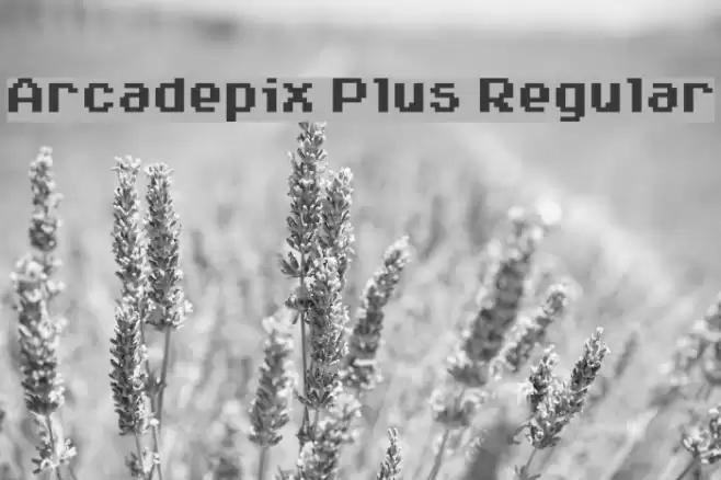 Arcadepix Plus Regular Font examples