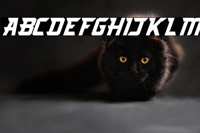 Arcades Italic Example 1