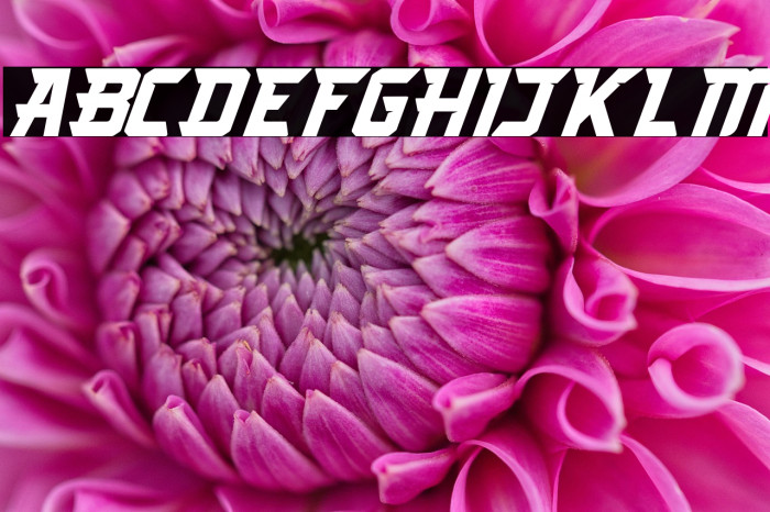 Arcades Italic Example 3