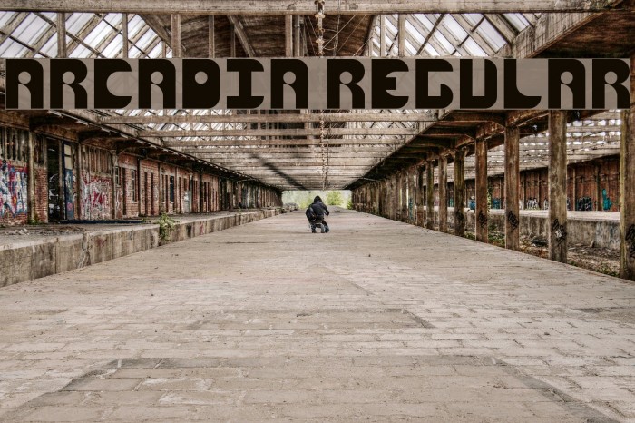 Arcadia Regular Font examples