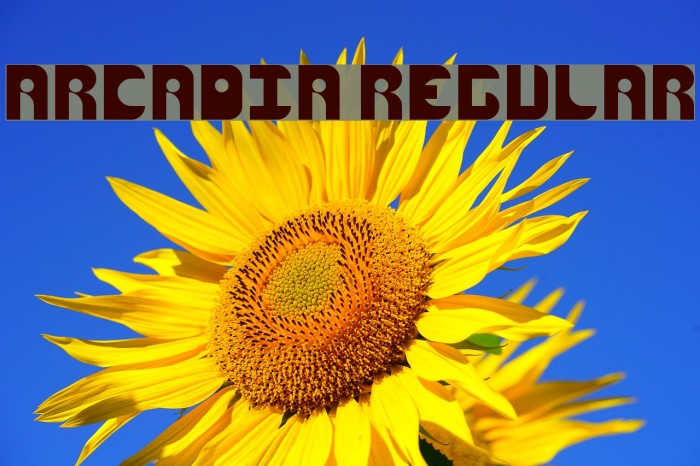 Arcadia Regular Font examples