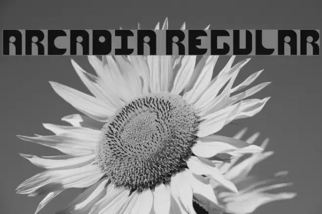 Arcadia Regular Font examples