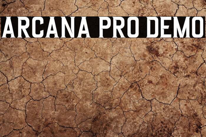 Arcana Pro DEMO Example 1