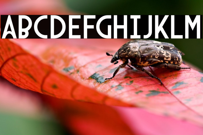 Arcane Nine Example 3