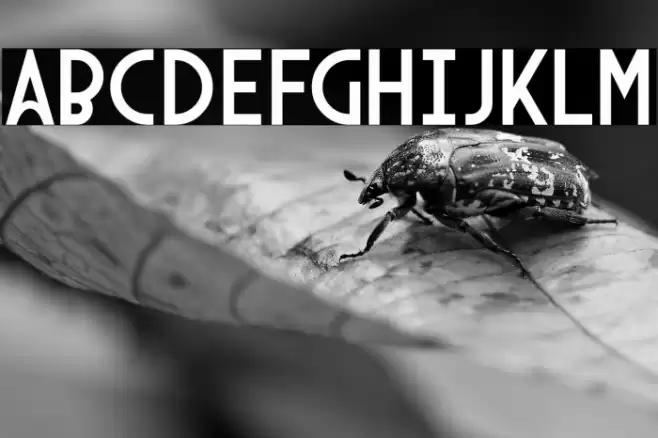 Arcane Nine Font examples