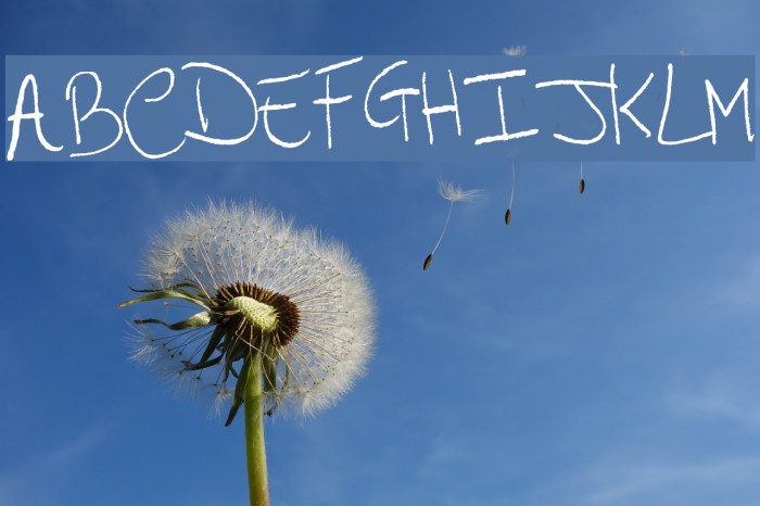 Arcangelo's Words Example 1