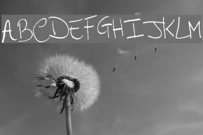 Arcangelo's Words Font examples