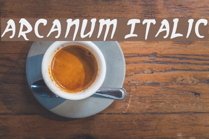 Arcanum Italic Font examples