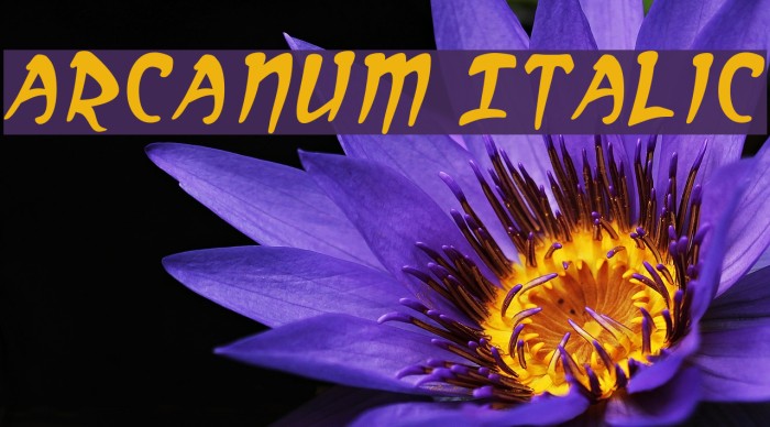 Arcanum Italic Font examples