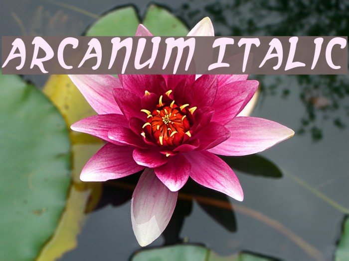 Arcanum Italic Font examples