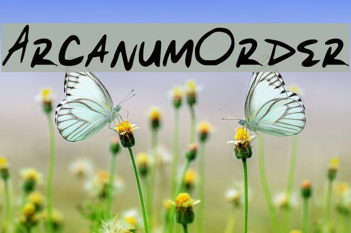 Arcanum_Order Font examples