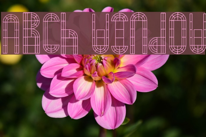 Arch Window Example 1