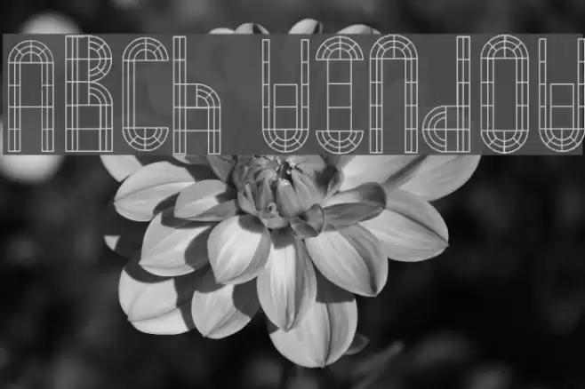 Arch Window Font examples